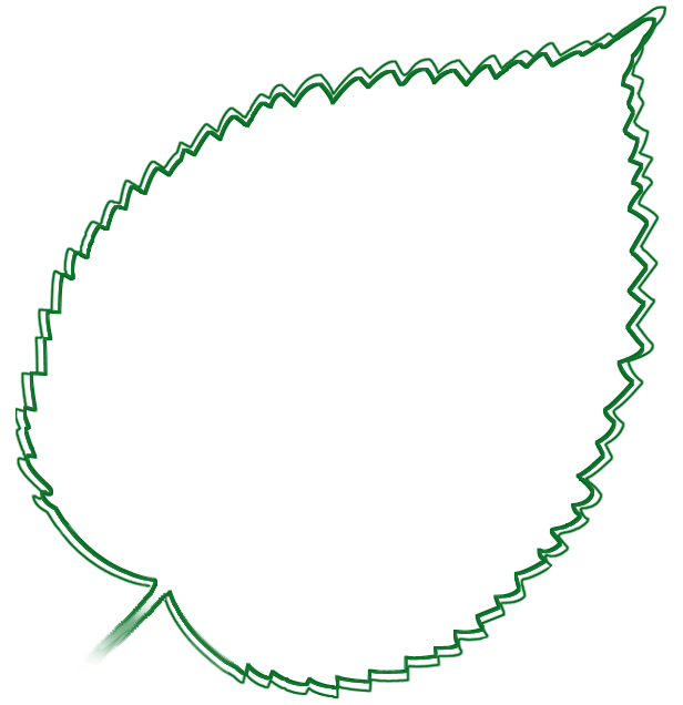 Leaf Background Small