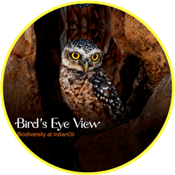 Coffee table book:: Birds eye view