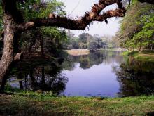 1-lake-view Lake View