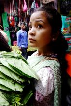 Bettle leaf seller