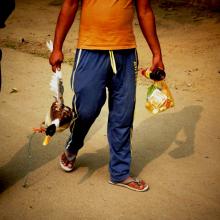 Poaching Ducks