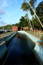 Ross Island Andaman