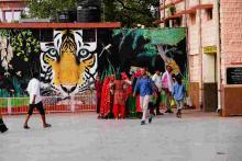 15_tiger_tales Tiger Tales