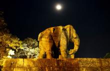 17-elephant-gate Elephant Gate