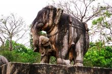 4-warrior-elphant Warrior Elephant