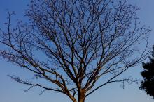 8-Skywards 8 Skywards