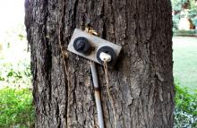 8-trunk-call Trunk Call
